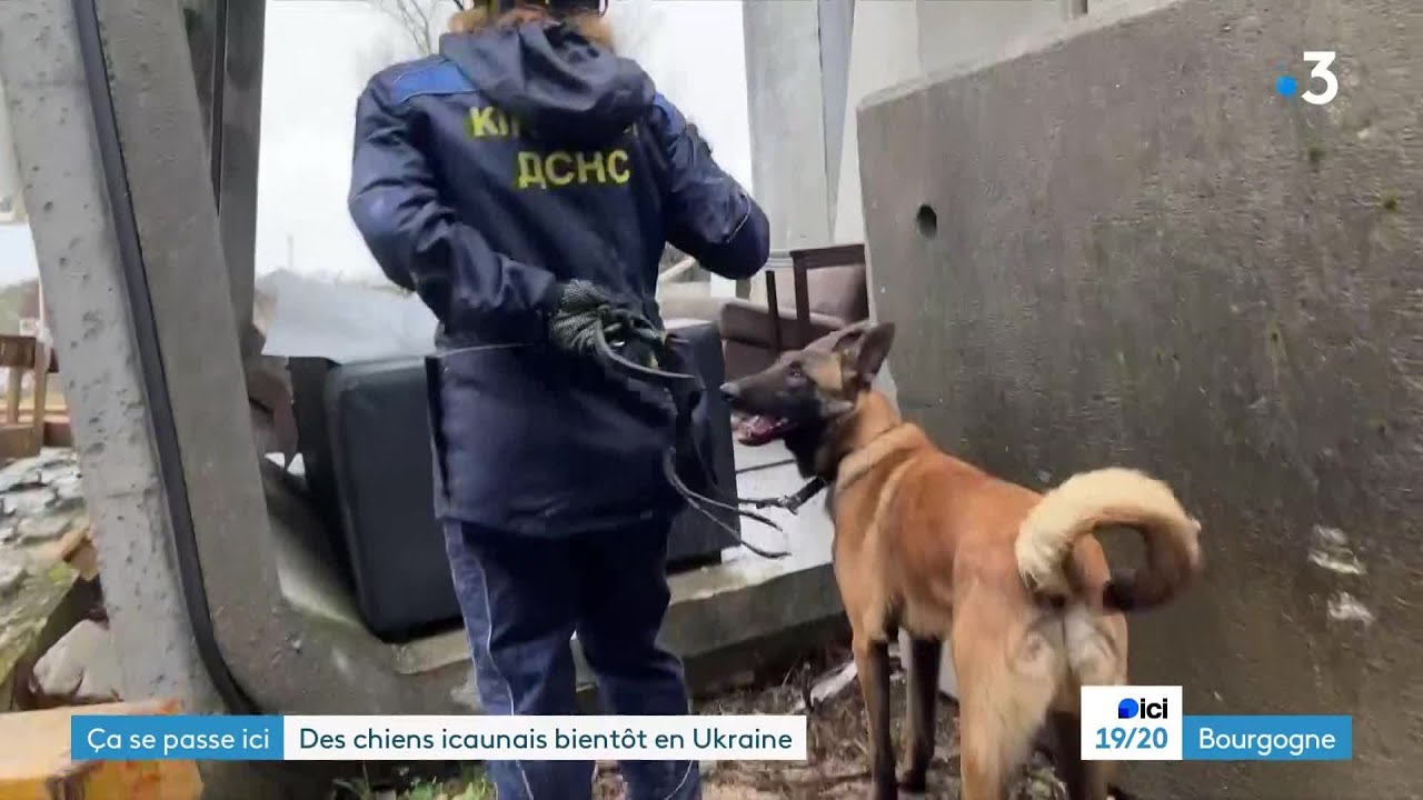 Ça Se Passe Ici, à Auxerre (Yonne) - Des chiens de secours pour l'Ukraine