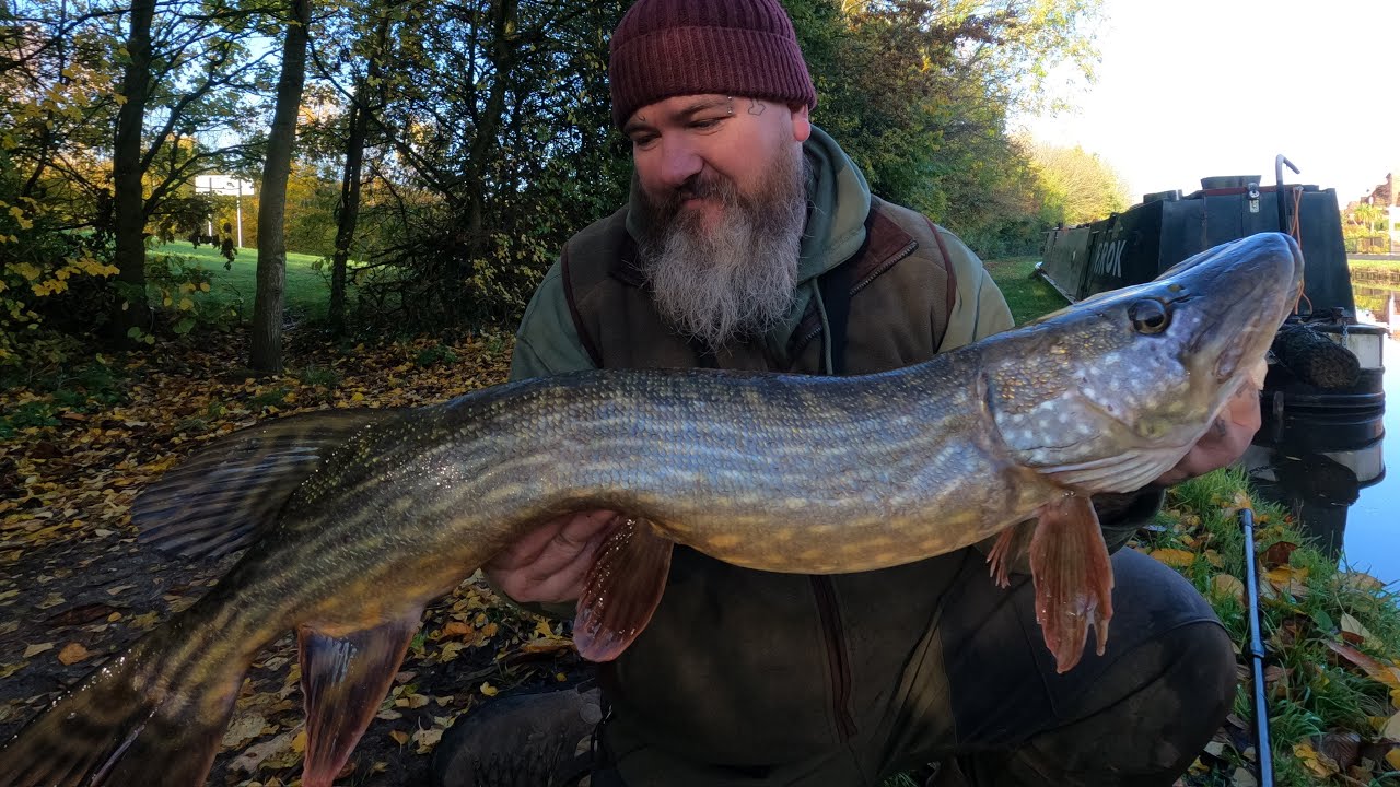These CANAL PIKE were SAVAGE today….. SUPER SESSION on the DEADBAITS….