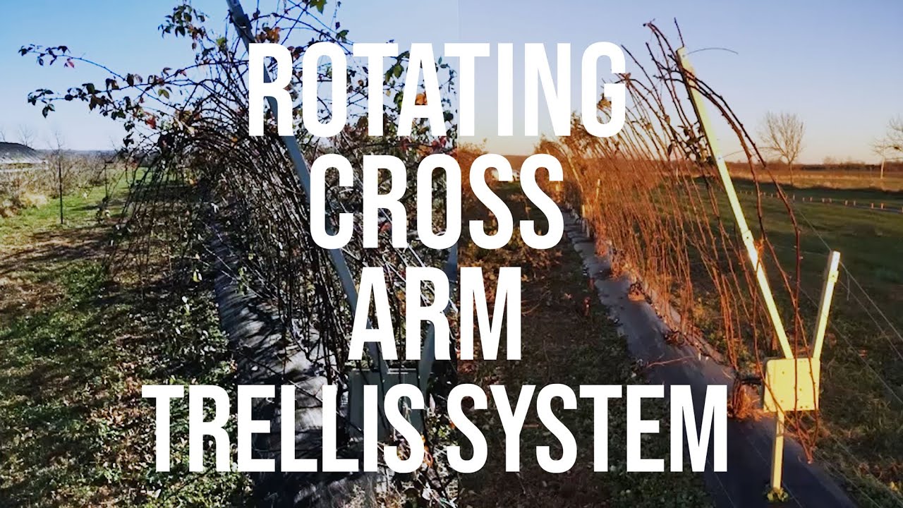 Rotating Cross Arm Trellis Systems