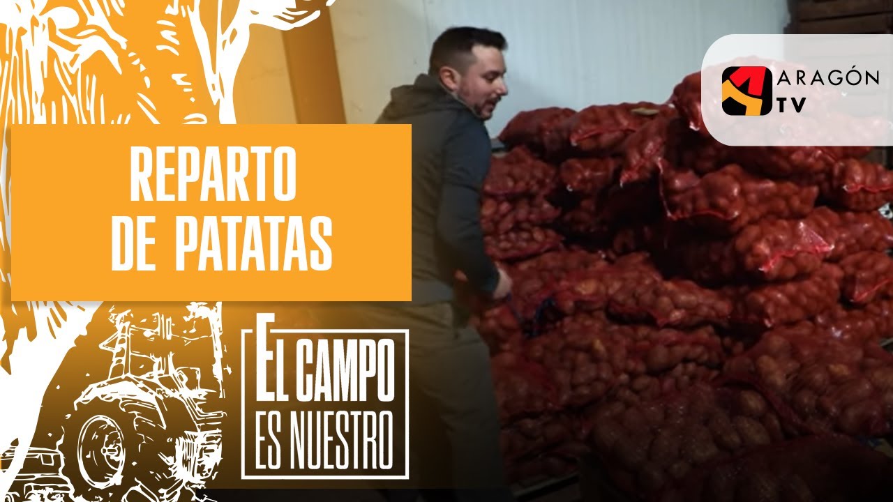 Reparto de patatas