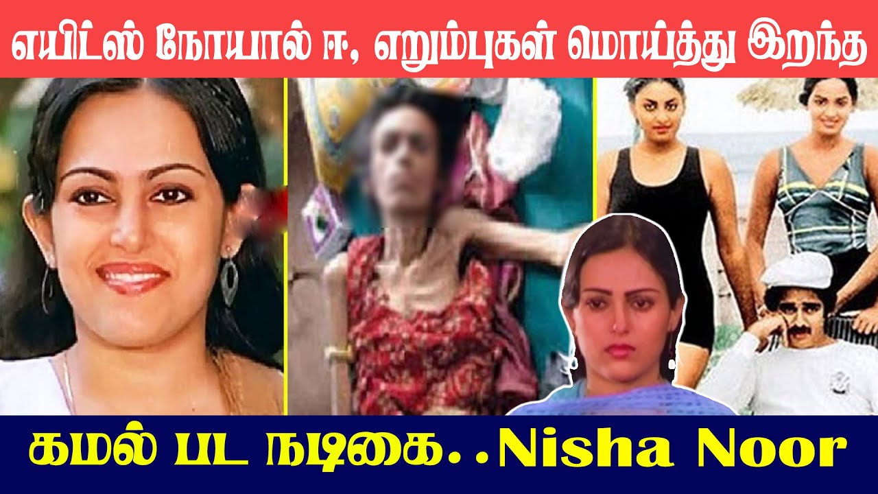 😔 Famous Actress Nisha Noor Life Story in Tamil