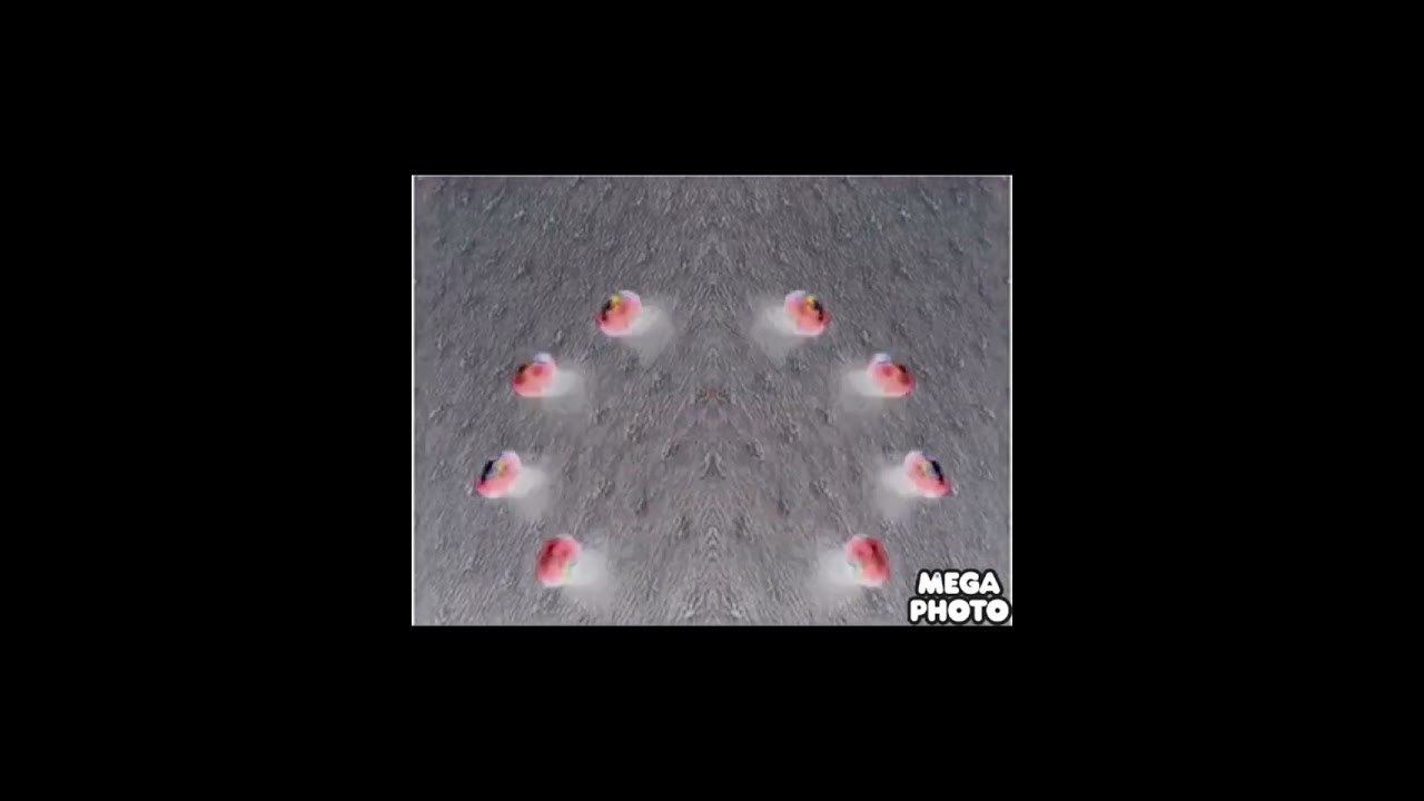 The Mini Eggscape Effects Sposered by Kalashnikov cuson 2001 Effects)