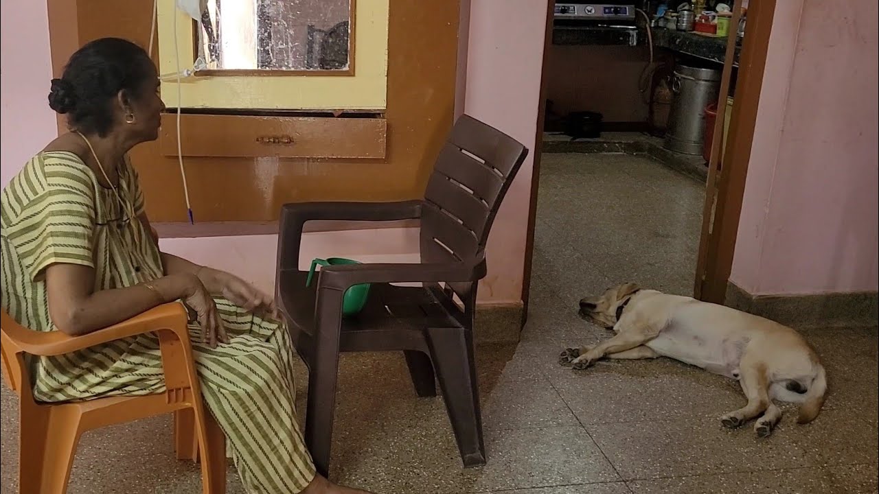 தயவுசெய்து இப்படி எல்லாம் பேசாதீங்க😭