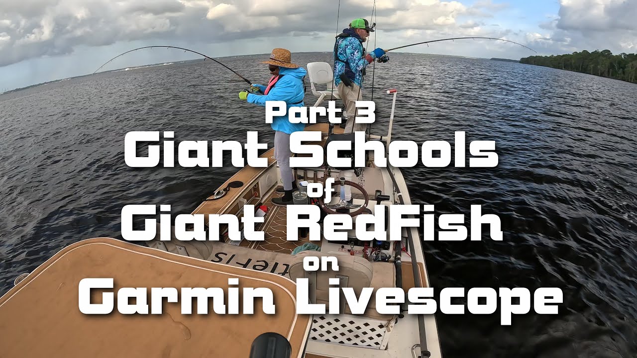 Part 3 Giant Schools of Giant Reds on Garmin LiveScope