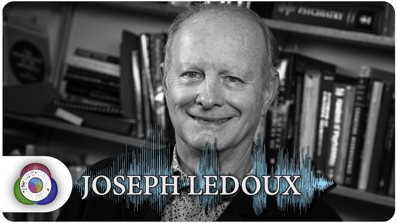 FULL AUDIO | Joseph LeDoux - The Origins Podcast