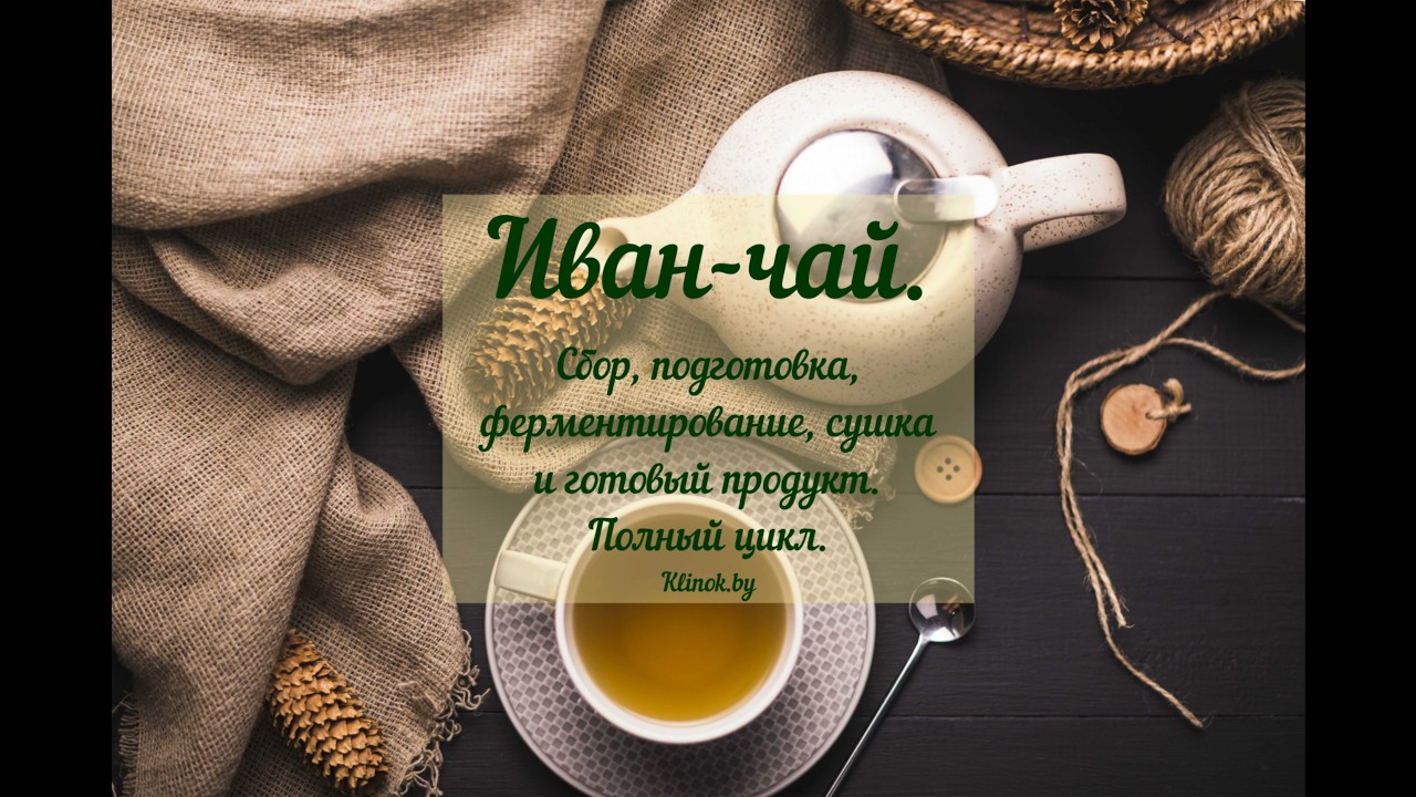 Иван-чай: сбор, обработка, ферментация, сушка и готовый продукт.
