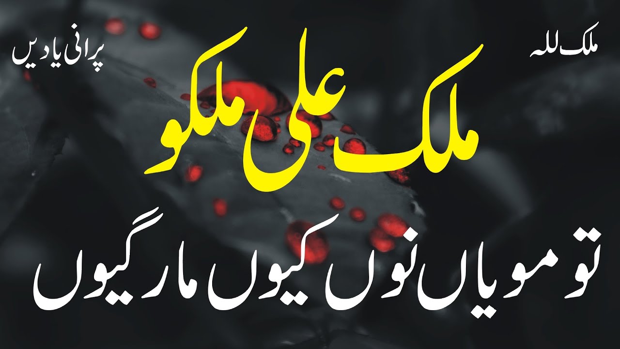 Pai Rahwaan Day Vich Rondi Haan | Malik Ali Malkoo | Best Punjabi Song | Old Hidden Memories