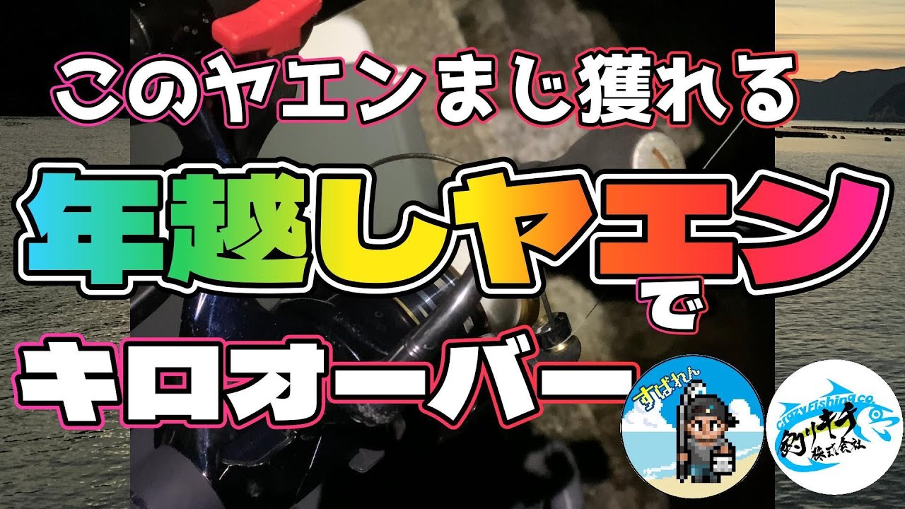【ヤエン】このヤエンはまじ獲れる。年越しヤエンでキロオーバー【すばれんコラボ】