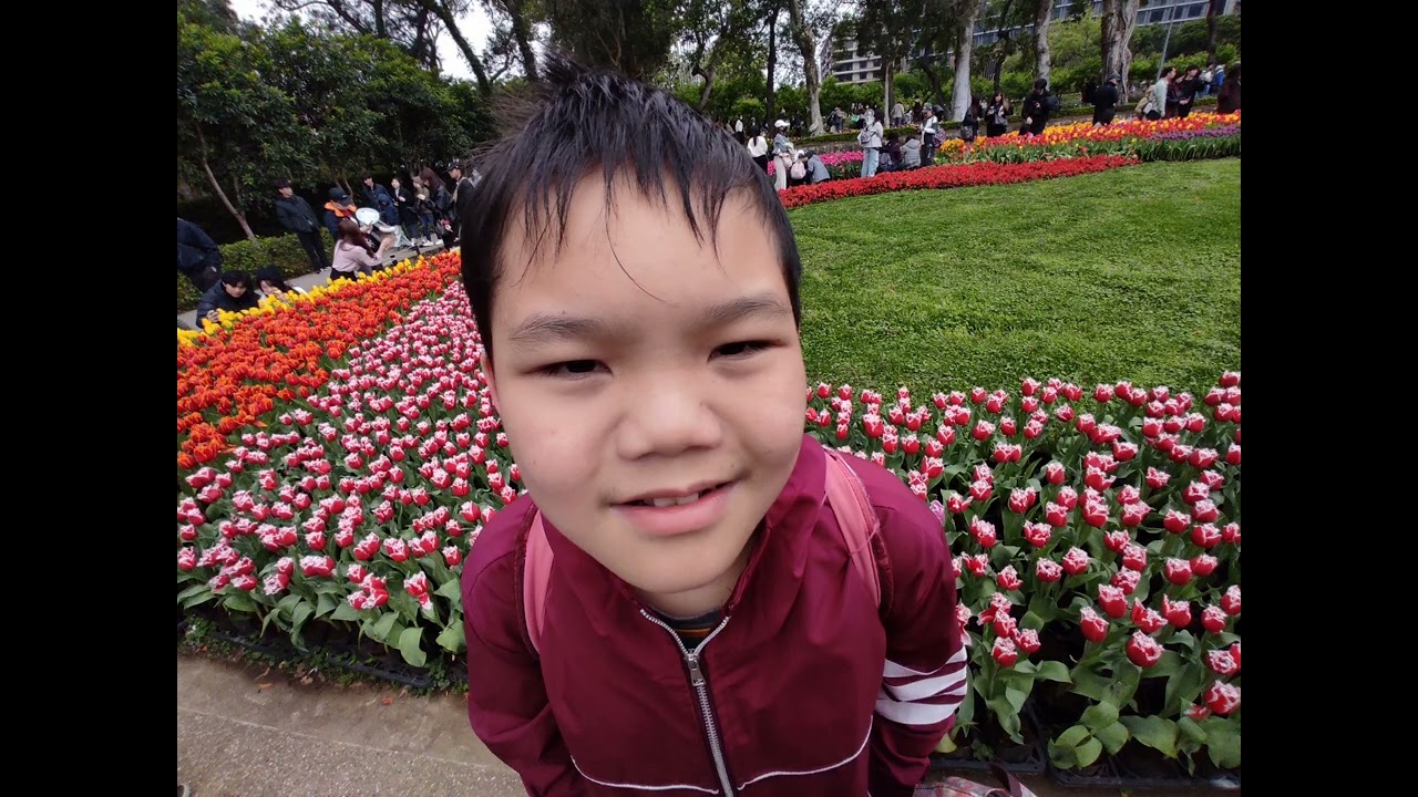 2026年士林官邸鬱金香展~给壽星生日彩蛋&2026年新北燈會