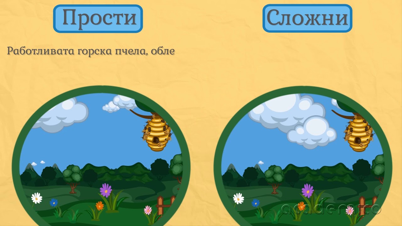 Видове изречения по състав - Български език 4 клас | academico