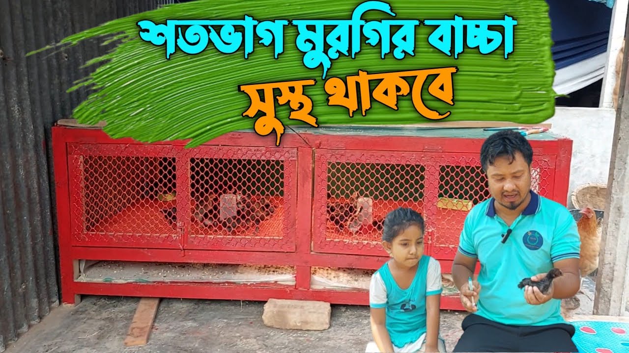 ১ থেকে ৩০ দিন পর্যন্ত মুরগির বাচ্চার ঔষধ ও ভ্যাকসিন || ১১০% মুরগির বাচ্চা সুস্থ থাকবে ||