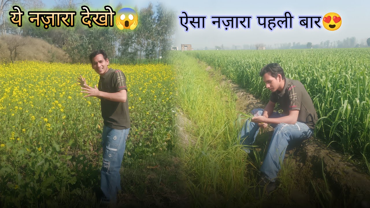सरसों के पीले समंदर में खो गए हम 😍🌼 village vlog 🔥