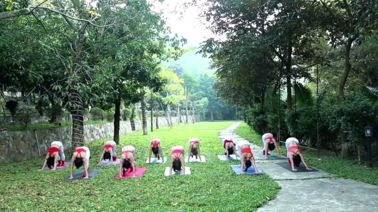 🎶NĂM QUA ĐÃ LÀM GÌ; BĐ: Đạt Anh; Mẫu: Yoga Xuân Hòa.