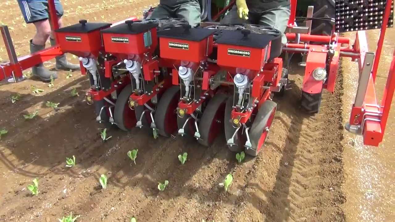 4 ROWS LETTUCE PLANTER NEW ZEALAND