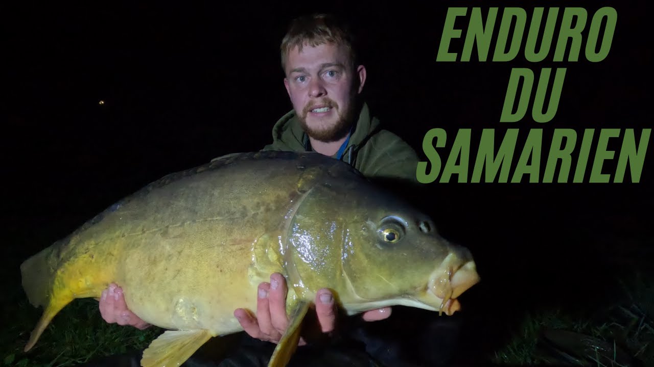 Notre Premier Enduro En Canal, Pêche De La Carpe !