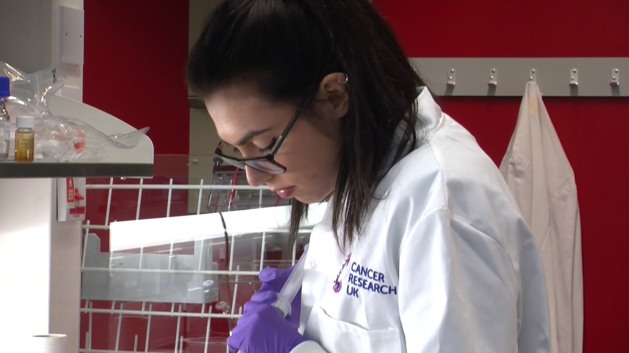 MSc Cancer Biology at the University of Essex: training the next generation of cancer researchers