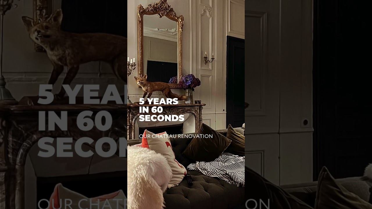 Renovation: 5 Years in 60 Seconds 