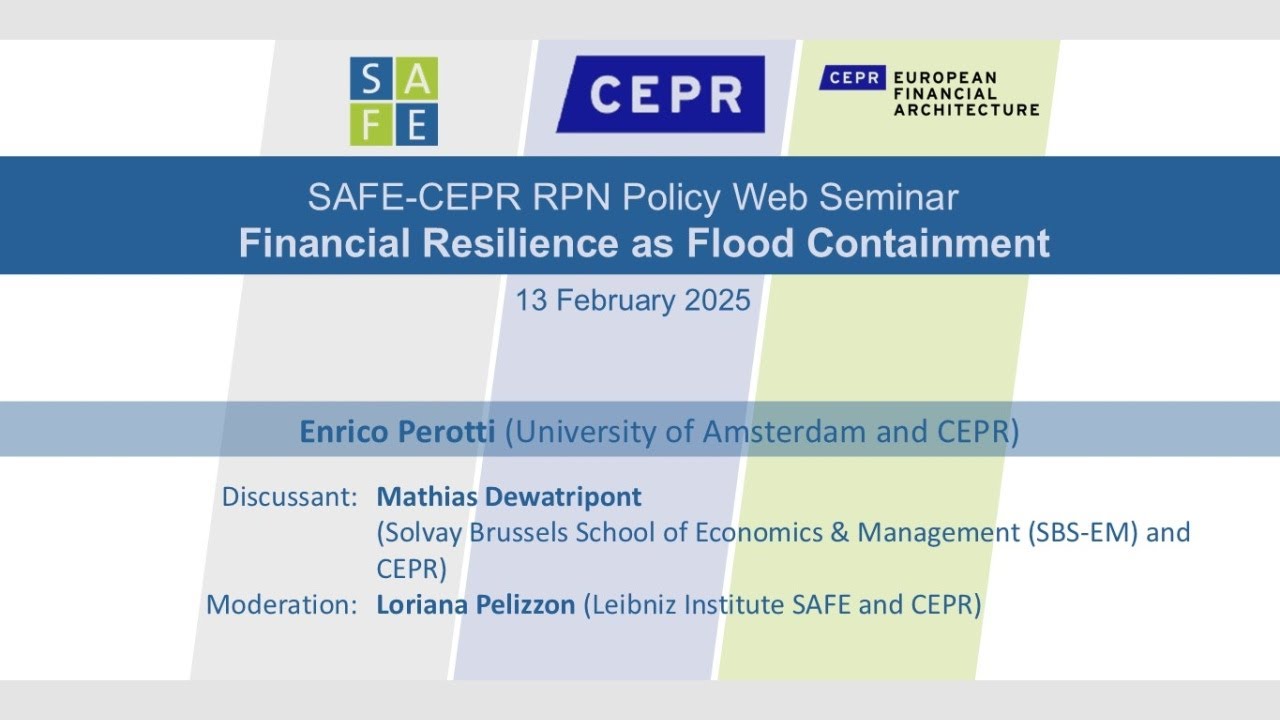 SAFE-CEPR Policy Web Seminar: Enrico Perotti (University of Amsterdam)