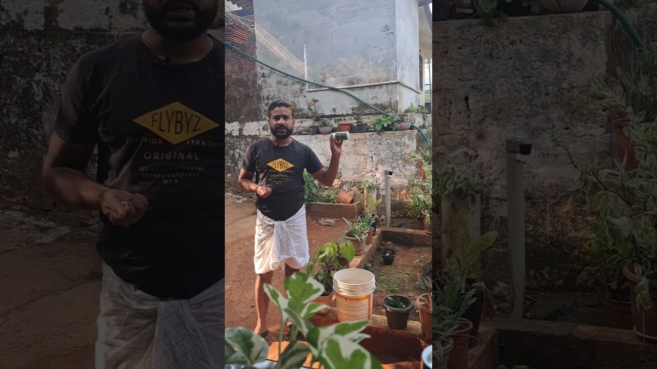 നിങ്ങളുടെ കൃഷിക്കും. ഇനി ഹോമിയോ പരിരക്ഷ Agro yield in coconet