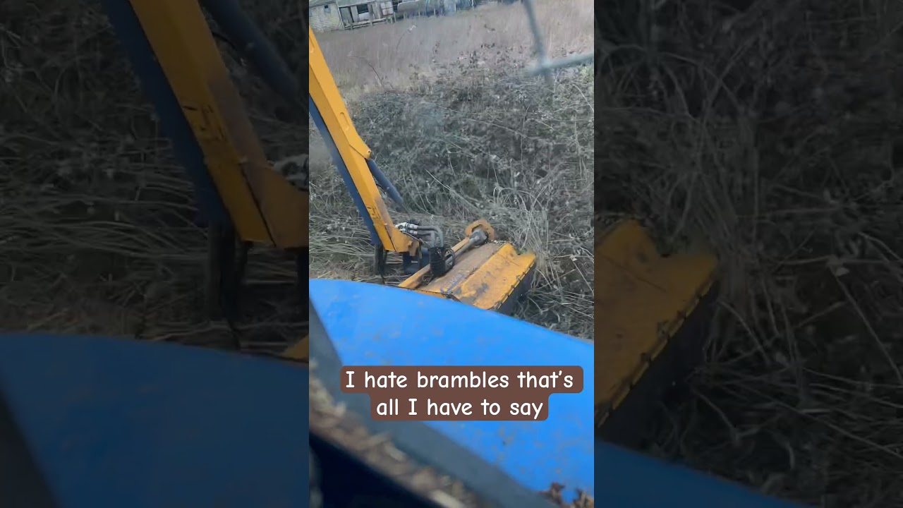 I hate brambles!!! #farming #farm #hedgecutting #newholland #farmblog
