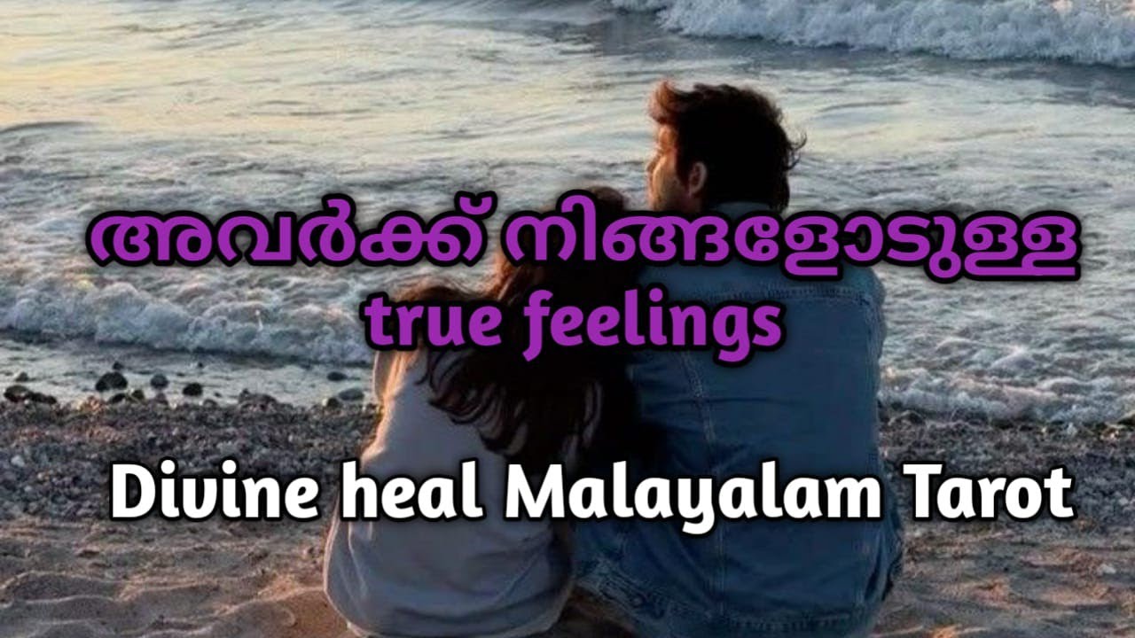 ഈ  നിമിഷം അവർ നിങ്ങളെപ്പറ്റി എന്ത് ചിന്തിക്കുന്നു ✨🌞🌹Divineheal malayalam tarotreading ✨🌞
