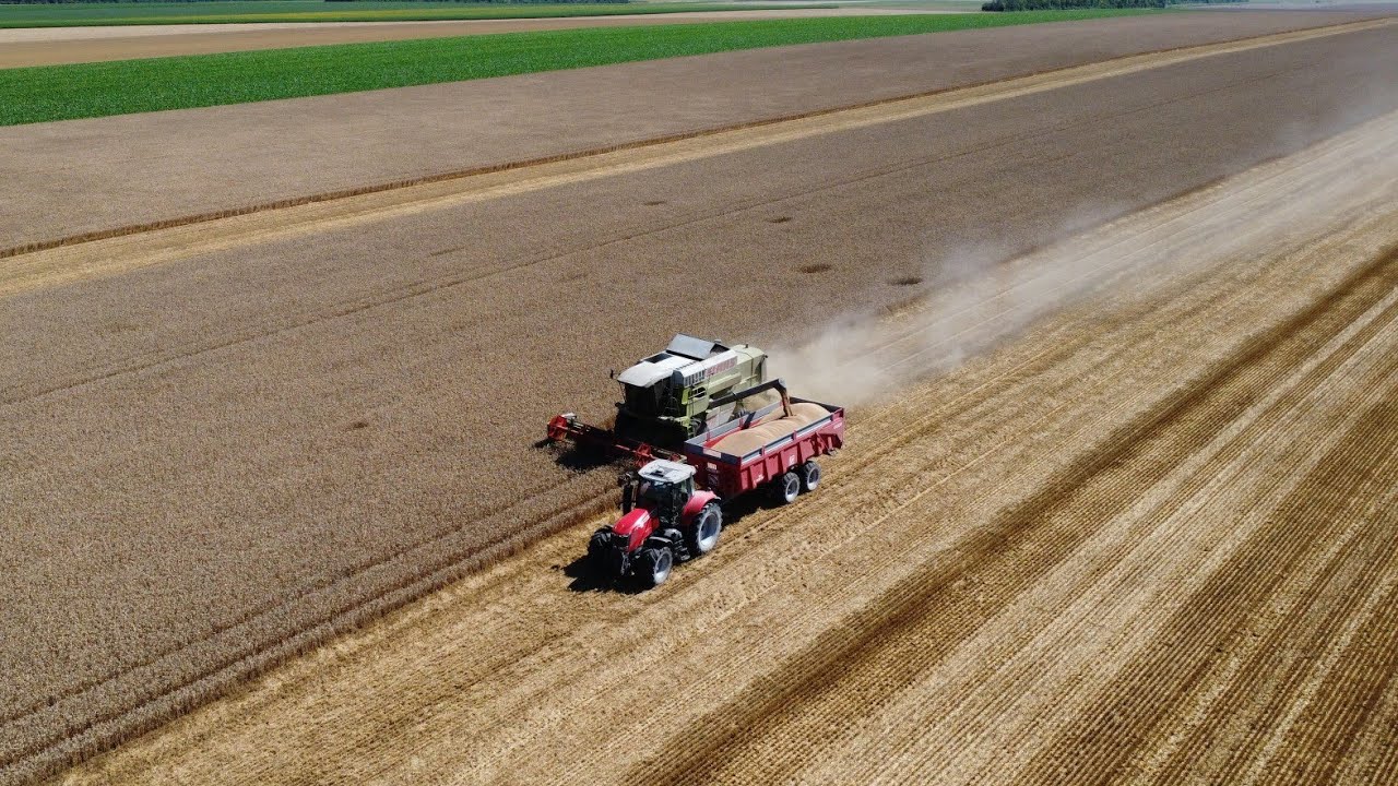 🌾Moisson Blé 2022🌾