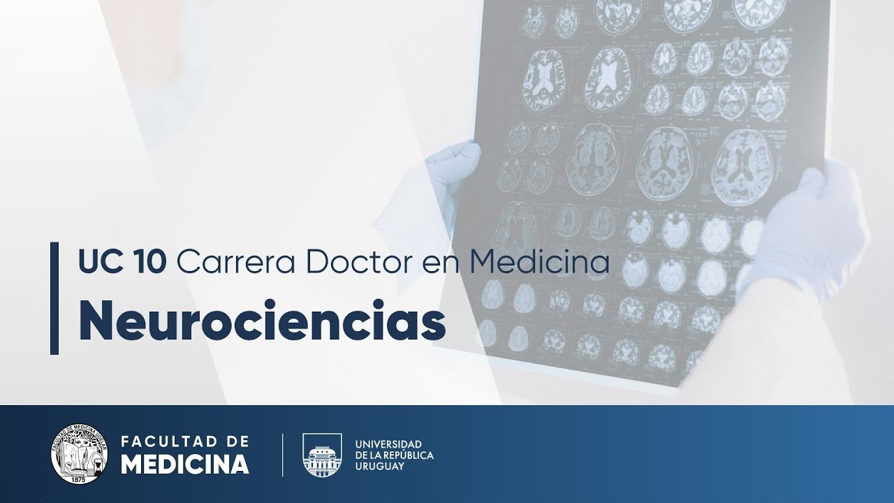 Biofísica de la Visión (Parte 1)