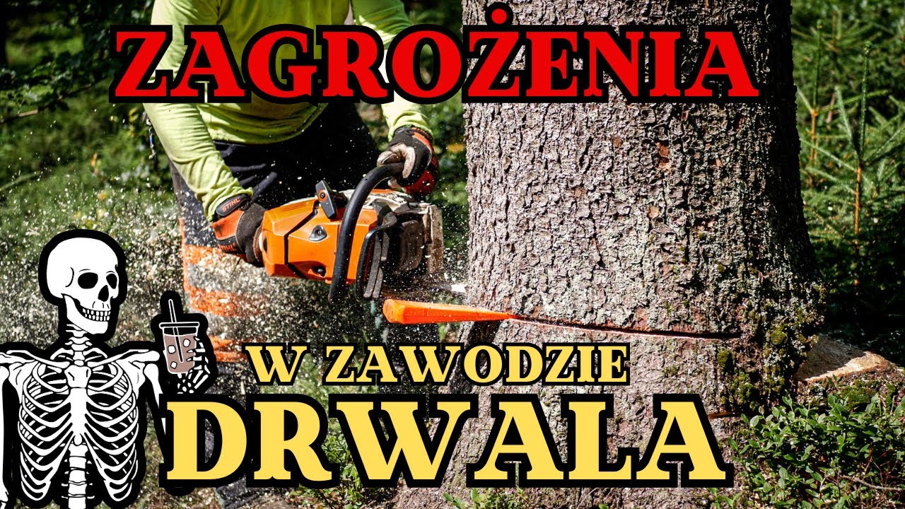 Zagrożenia w zawodzie DRWALA || Okiem ZULa