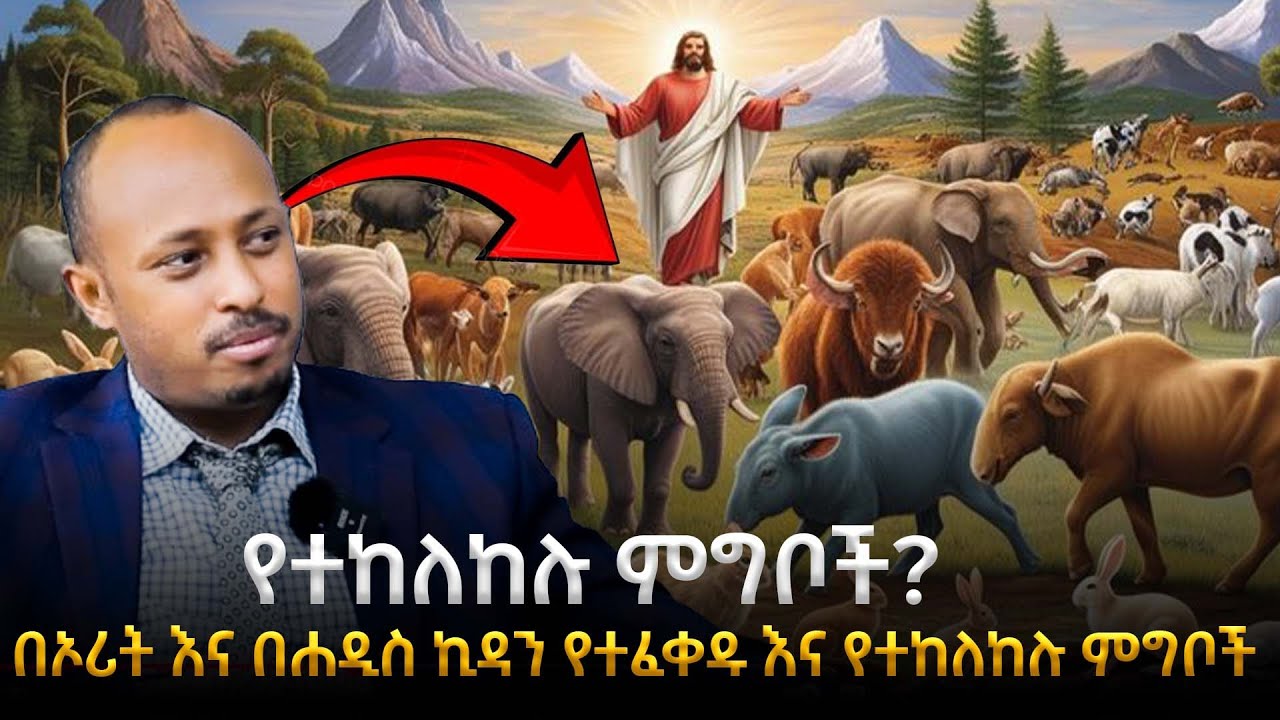 በኦሪት እና በሐዲስ ኪዳን የተፈቀዱ እና የተከለከሉ ምግቦች|ሰኮናቸው በተሰነጠቀ እንስሳት የትኞቹ ናቸው?|FORBIDDEN FOODS| ዶር ሮዳስ ታደሰ-Awtar