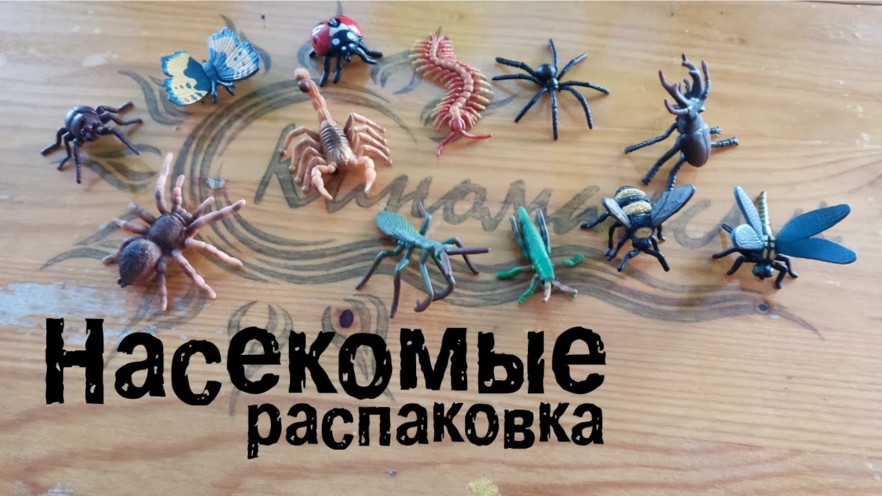 Распаковка игрушечных насекомых.