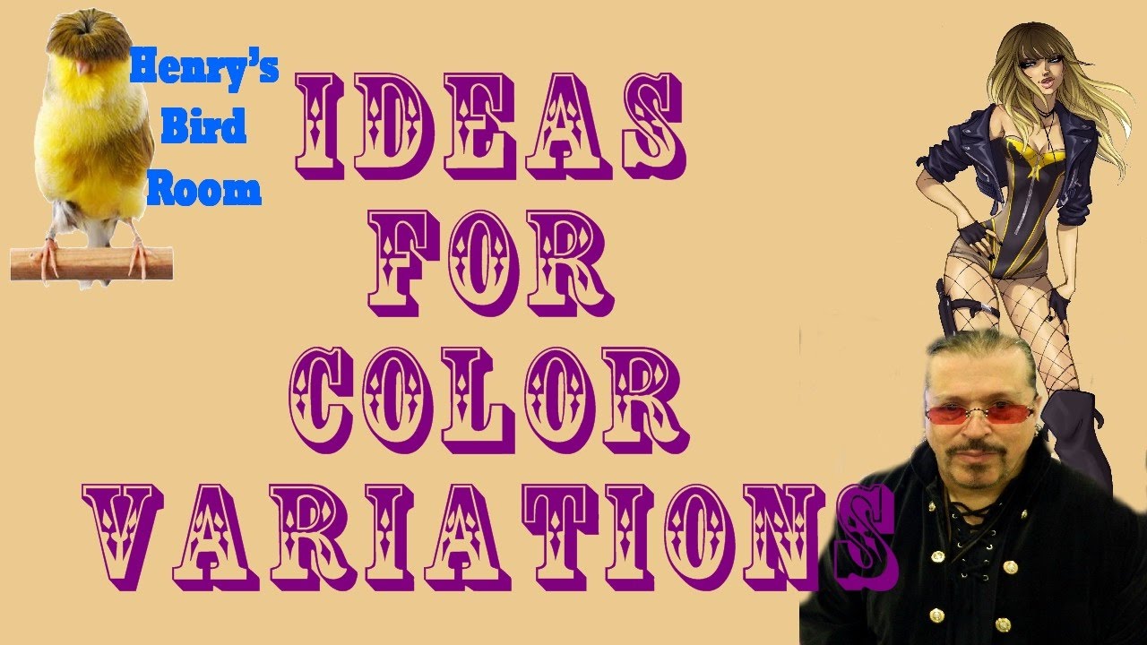 Ideas for Canary Color Variations | Henry's Bird Room