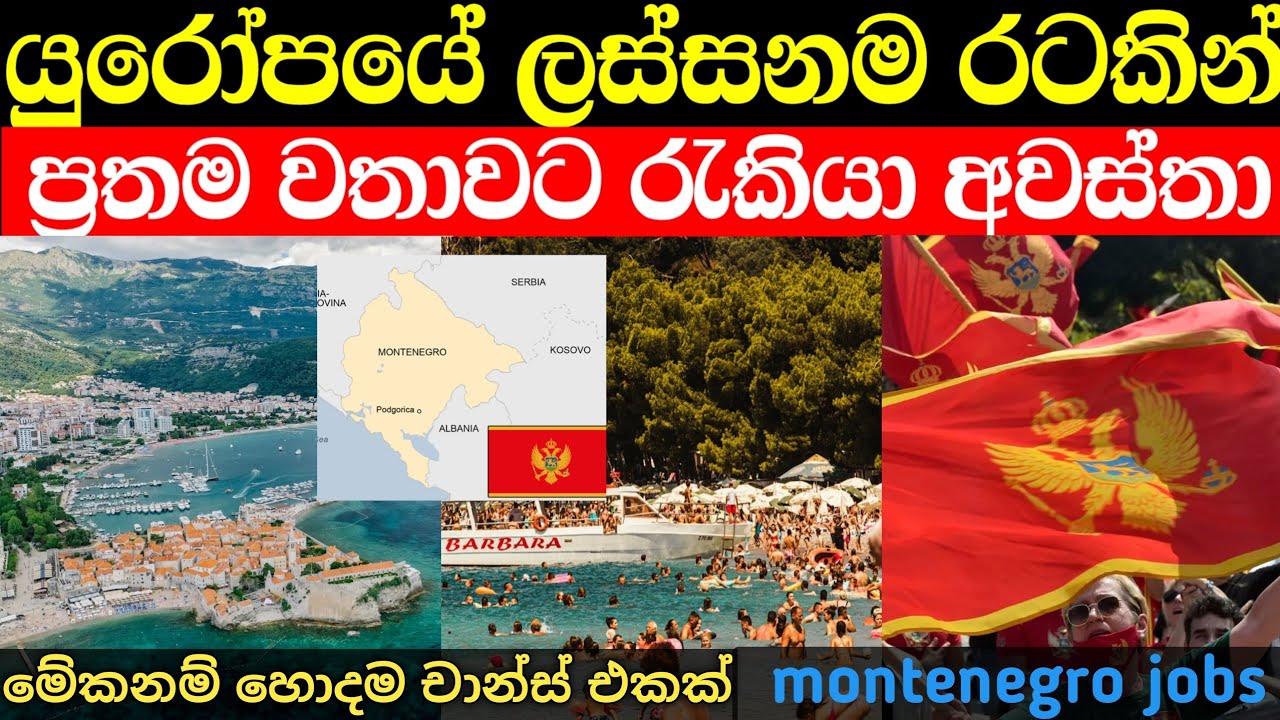 යුරෝපයේ ලස්සනම රටකින් ප්‍රතම වරට ලැබෙන රැකියා | montenegro job vacations
