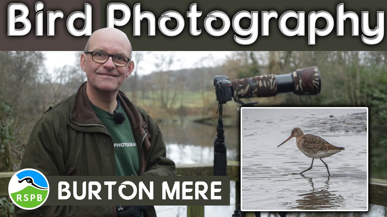 Wild Bird Photography at RSPB Burton Mere Wetlands NAture Reserve