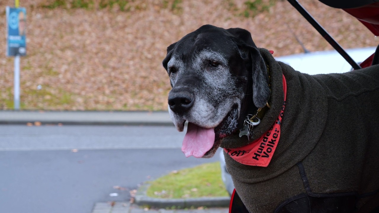 22. FEBRUAR 2026 HUNDEWANDERUNG MELSUNGEN MIT BESICHTIGUNG DES FEUERWEHRSTÜTZPUNKTES
