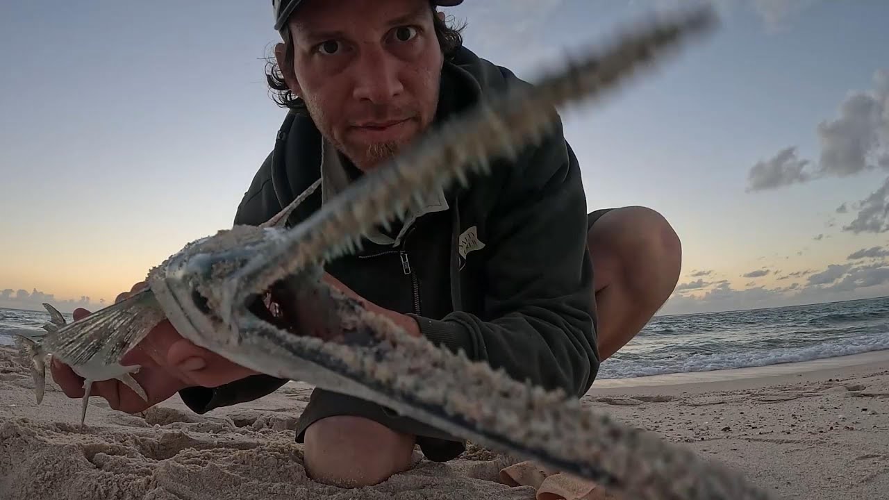 running out of tackle and Water, Emperor on sunset, Mud crabbing Fail, Easy Camp Food