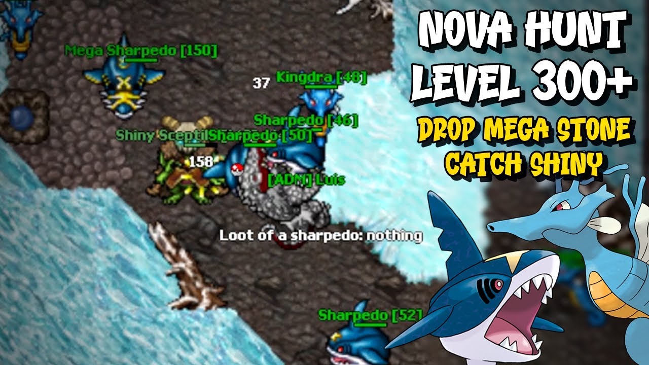 TESTANDO A NOVA HUNT E OS NOVOS BOSSES DO UPDATE NOVO | POKECROC POKETIBIA PC E MOBILE 2025