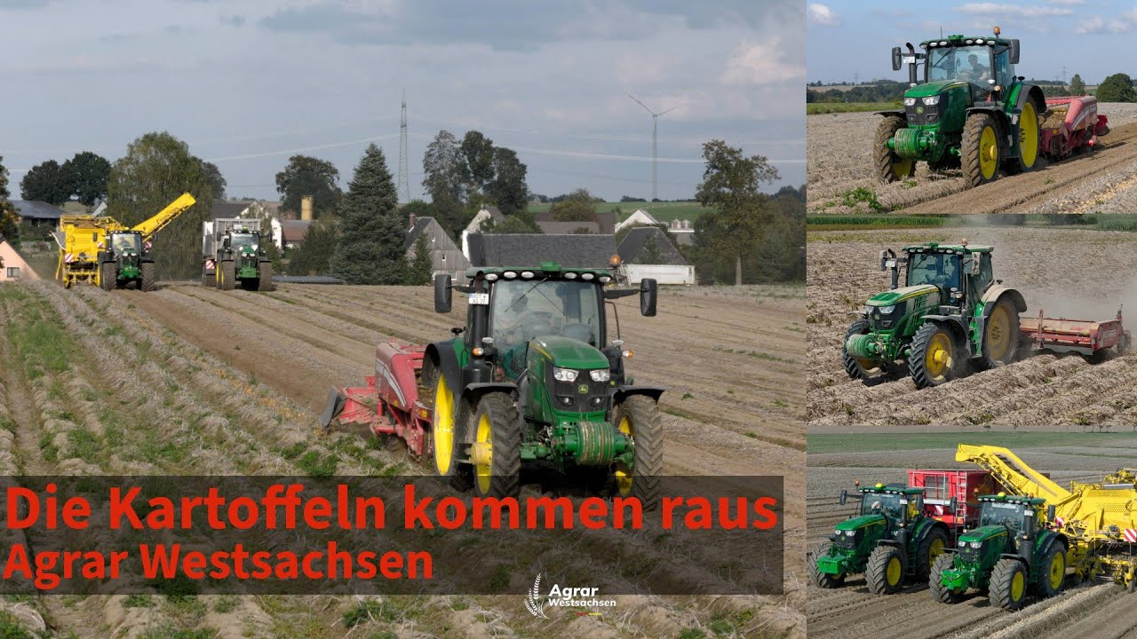 Die Kartoffeln kommen raus I Schwadleger und Roder mit Überladebunker im Einsatz I Agrar Westsachsen