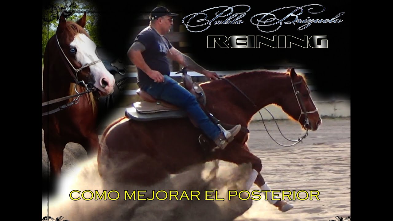 COMO MUSCULAR  EL POSTERIOR PARA HACER RAYADAS