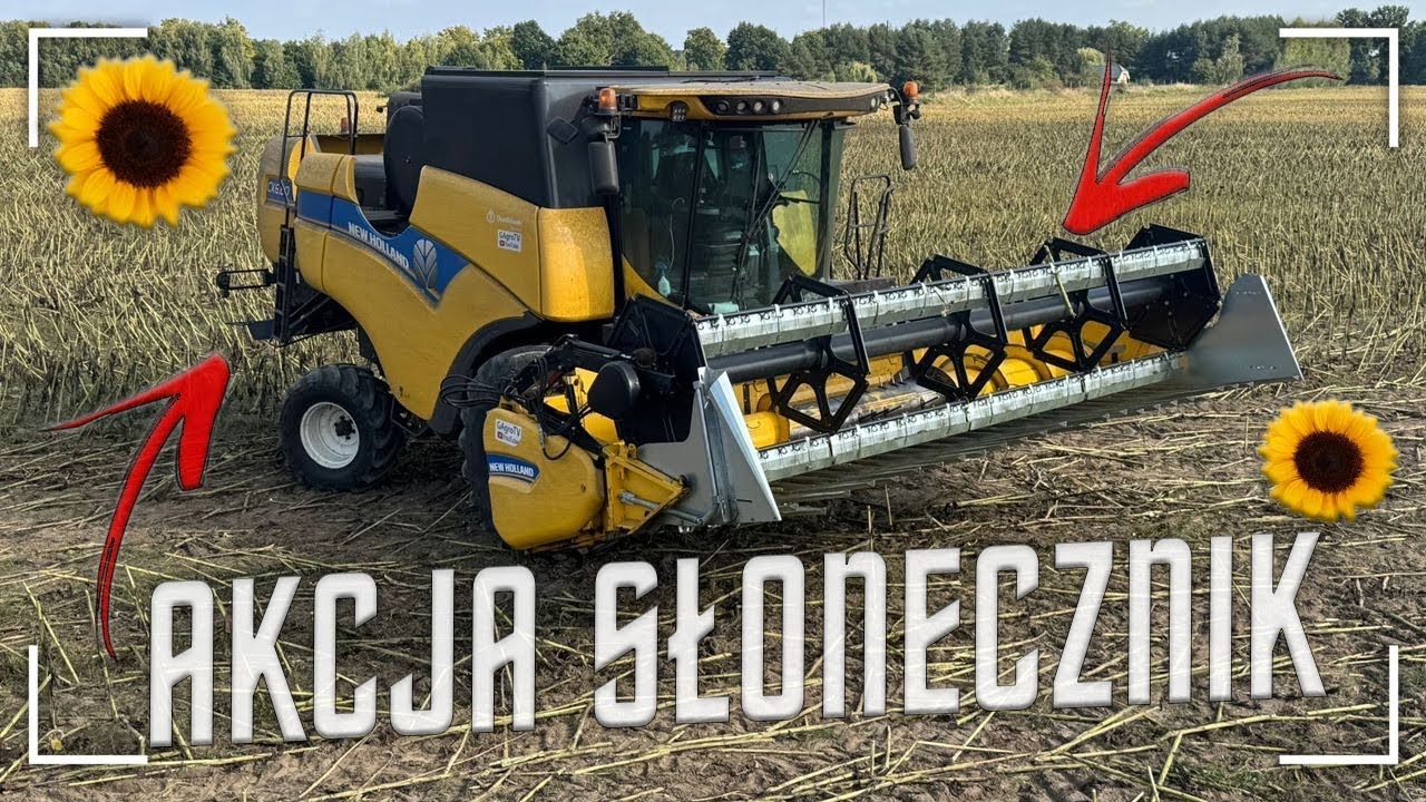 Koszenie słonecznika! Pierwsze uruchomienie przystawki [vlog#269]