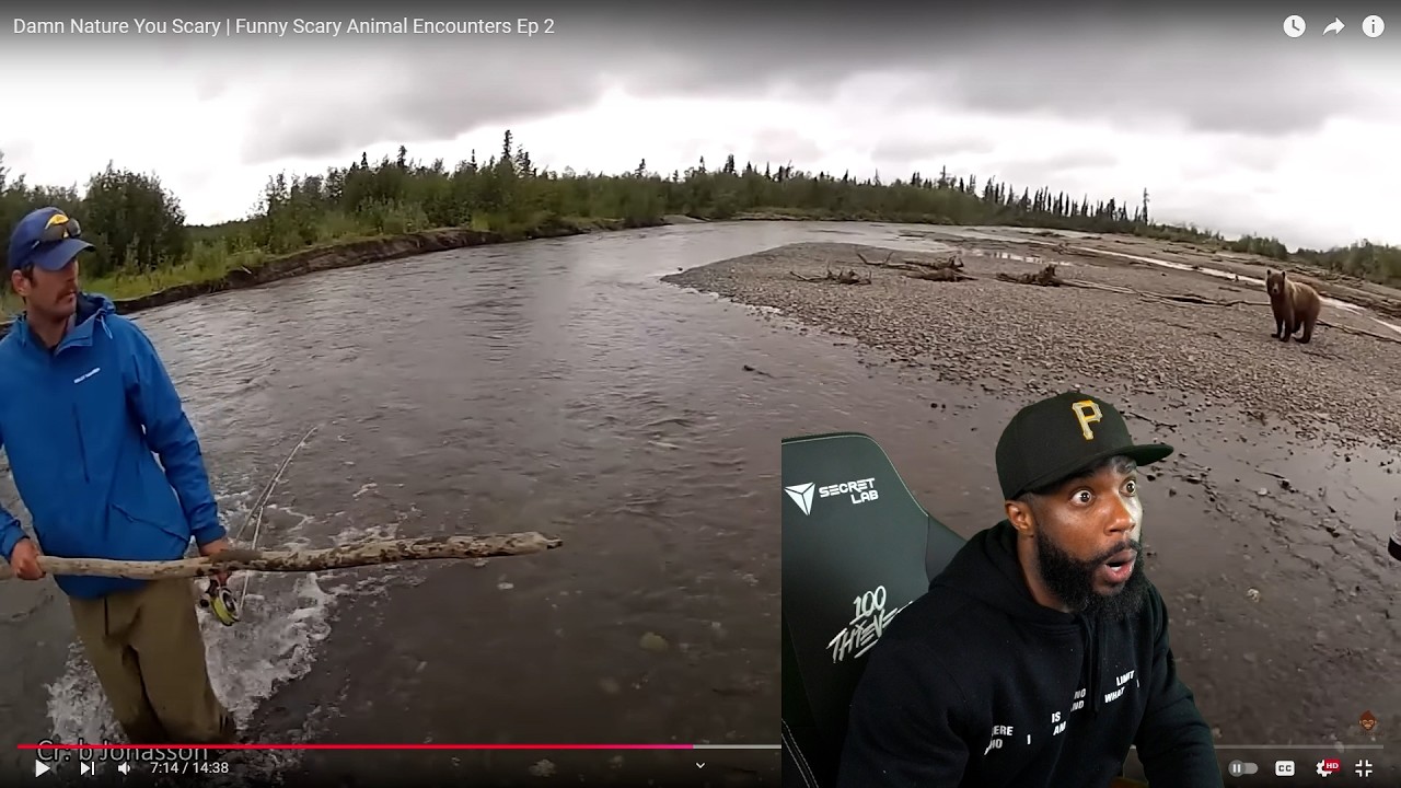 DANG! Nature You Scary | Funny Scary Animal Encounters Reaction!
