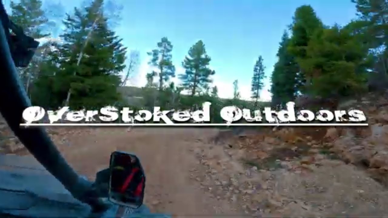 High Mountain Trail-Riding on a Polaris RZR 1000 in Southern Utah - May 2020 4K