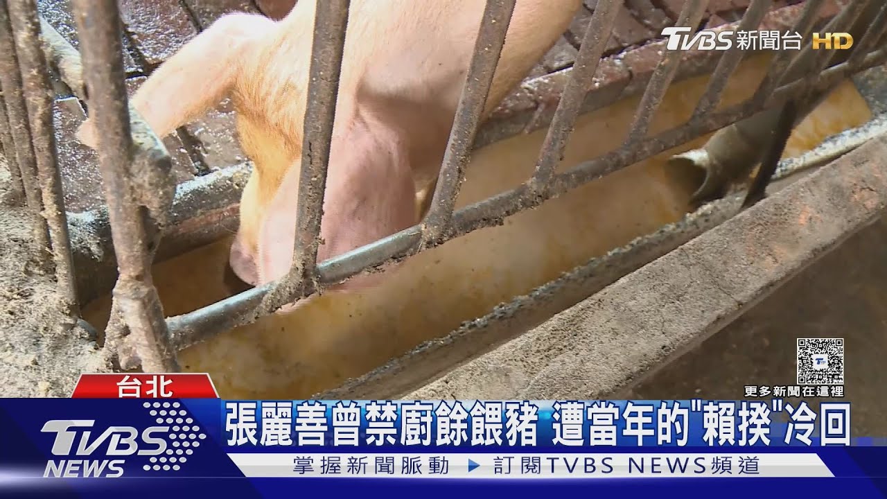 互抓戰犯! 綠營控藍白大刪60%媒宣費釀破口｜TVBS新聞 @TVBSNEWS01