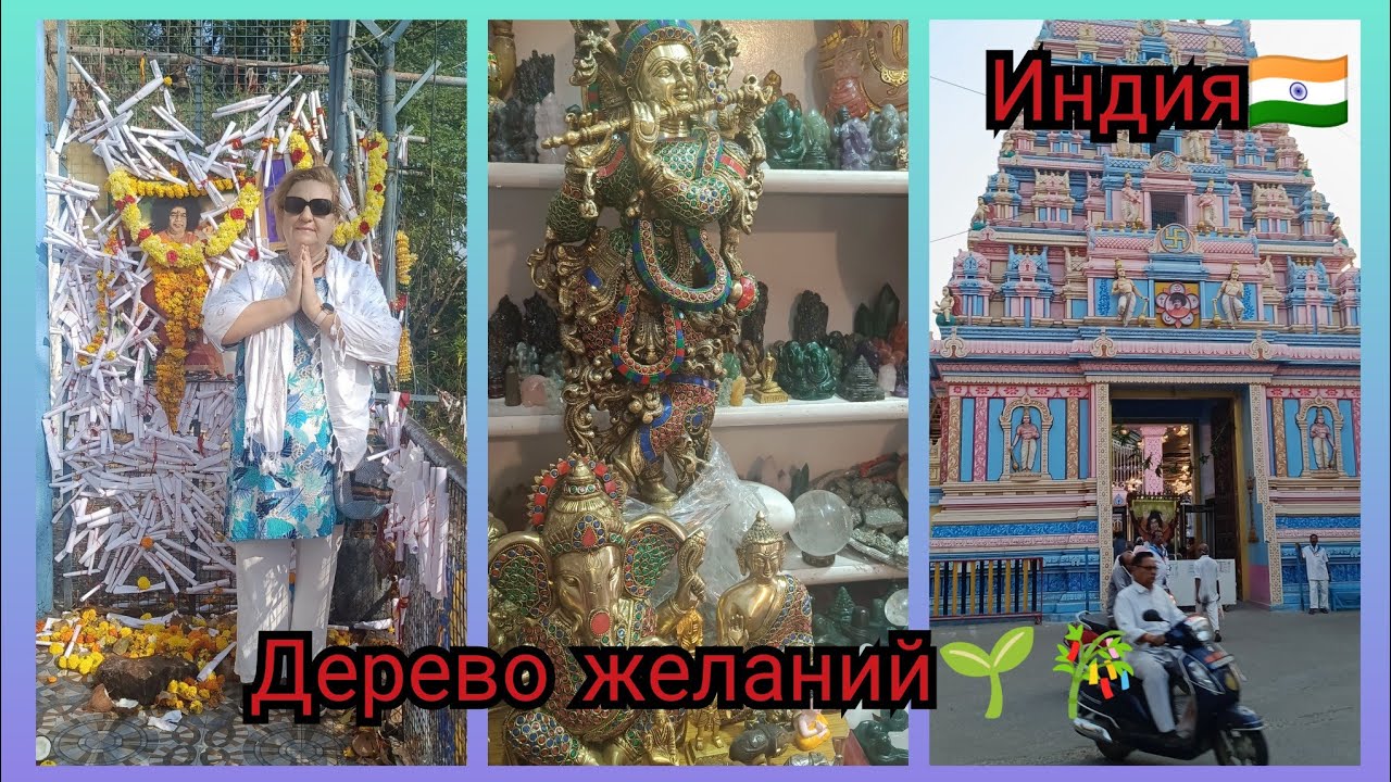 #9.Дерево желаний. Ещё один день жизни в Индии. Мечты сбываются#виндию