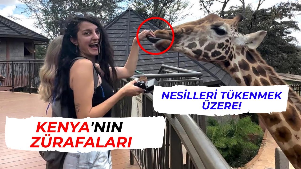 Центр жирафов в КЕНИИ 🦒 Впервые я так близко! ~ 22