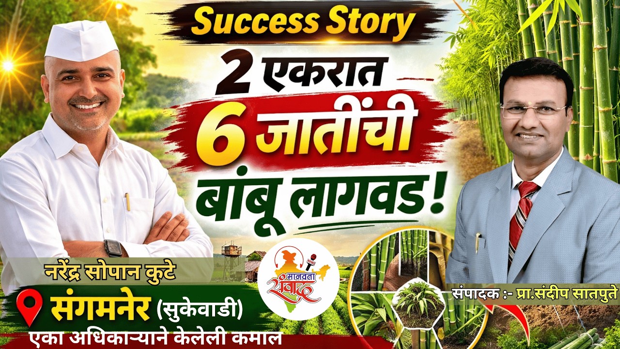 मानवता संवाद प्रस्तुत – बांबू शेती विशेष मार्गदर्शन | जाती, लागवड, सरकारी योजना व विक्री संधी
