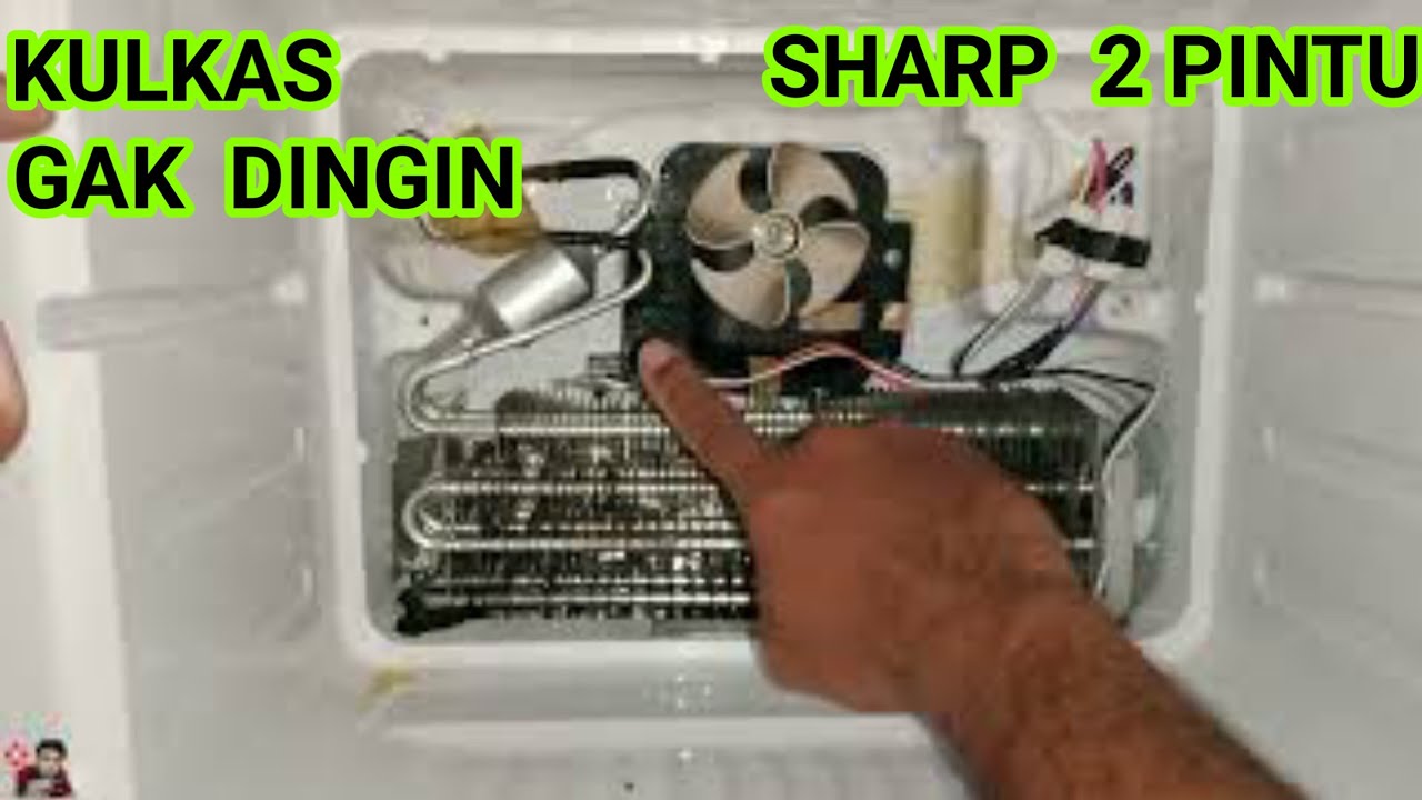 kulkas sharp 2 pintu tidak dingin
