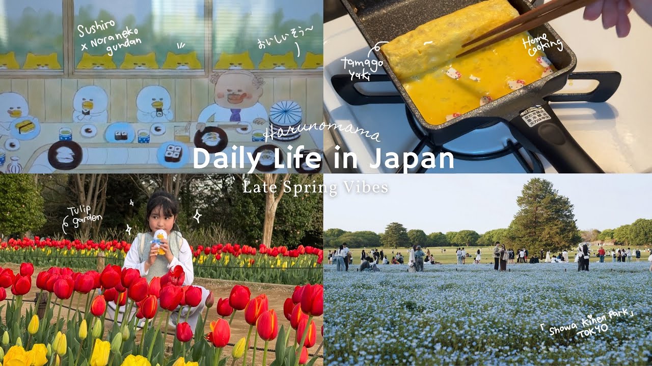 🍣enjoy Sushi at Sushiro | Japanese Home Cooking | walking in Tulip garden in late spring 🌷✨