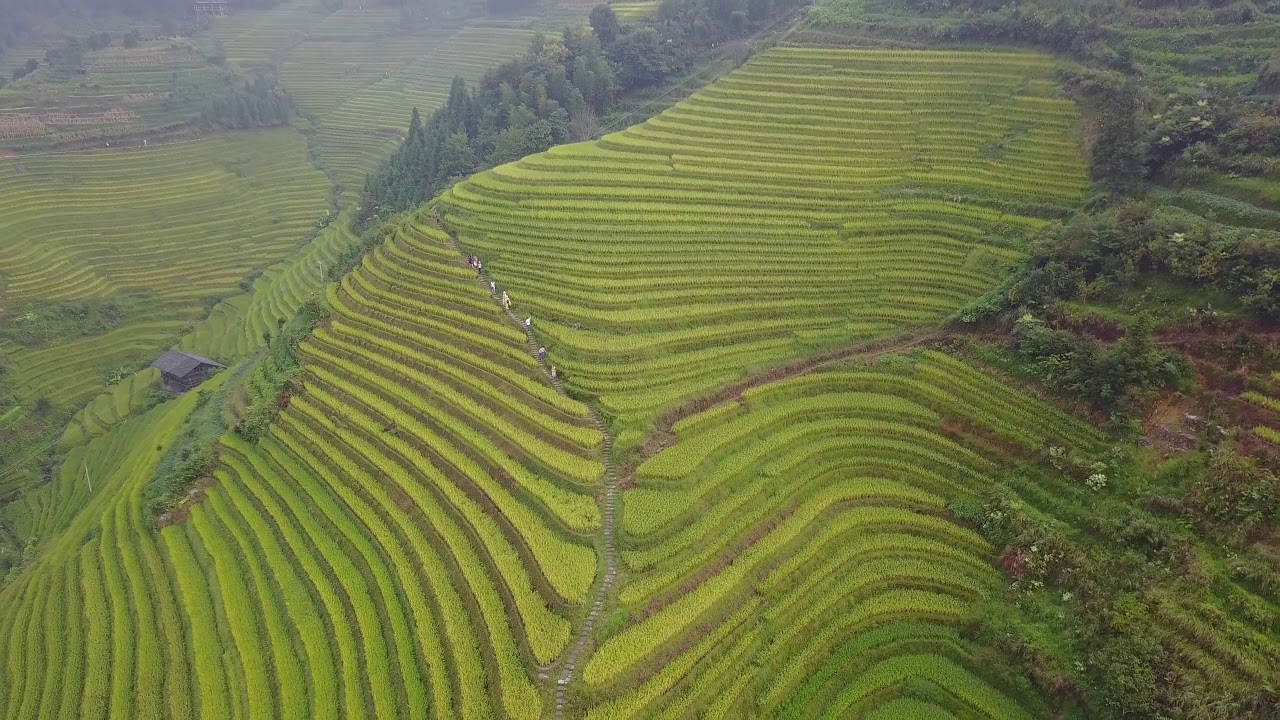 廣西龍勝龍脊梯田Longsheng county(航拍4K)