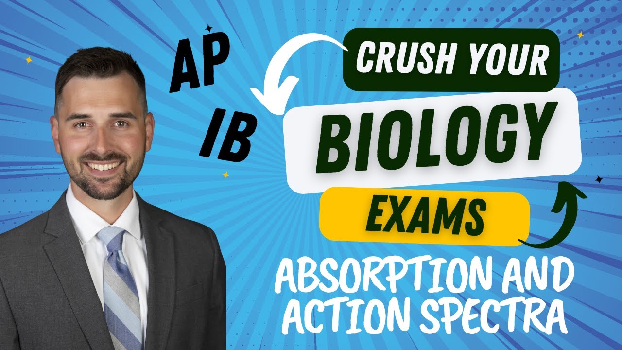 Absorption and Action Spectra
