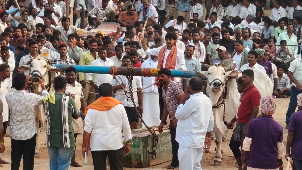 మేళ్ళచెరువు సీనియర్ | 8జత (దుబ్బన్న - కారంజయ) MCOR బుల్స్ మార్తాల చంద్ర ఓబుల్ రెడ్డి గారు చౌటపల్లి